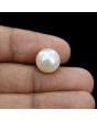 South Sea Pearl (Moti) 9.78 Carat 