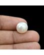 South Sea Pearl (Moti) 11.18 Carat 