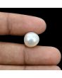 South Sea Pearl (Moti) 11.18 Carat 
