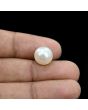 South Sea Pearl (Moti) 9.18 Carat 
