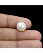 South Sea Pearl (Moti) 9.18 Carat 