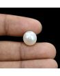 South Sea Pearl (Moti) 9.18 Carat 