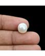 South Sea Pearl (Moti) 7.44 Carat 