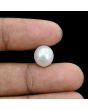 South Sea Pearl (Moti) 7.44 Carat 