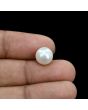 South Sea Pearl (Moti) 6.64 Carat 
