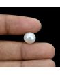 South Sea Pearl (Moti) 6.64 Carat 