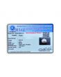 South Sea Pearl (Moti) 6.64 Carat 