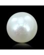 South Sea Pearl (Moti) 8.29 Carat 