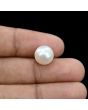 South Sea Pearl (Moti) 8.29 Carat 
