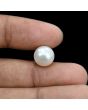 South Sea Pearl (Moti) 8.29 Carat 