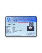 South Sea Pearl (Moti) 8.29 Carat 