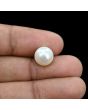 South Sea Pearl (Moti) 7 Carat 