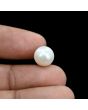 South Sea Pearl (Moti) 7 Carat 