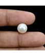 South Sea Pearl (Moti) 7 Carat 