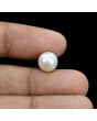 South Sea Pearl (Moti) 5.78 Carat 