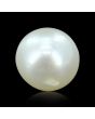 South Sea Pearl (Moti) 7.55 Carat