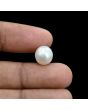 South Sea Pearl (Moti) 7.36 Carat 