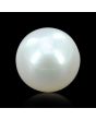 South Sea Pearl (Moti) 6.31 Carat 