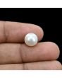 South Sea Pearl (Moti) 6.31 Carat 