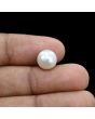 South Sea Pearl (Moti) 6.31 Carat 