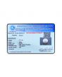 South Sea Pearl (Moti) 6.31 Carat 