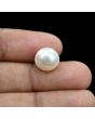 South Sea Pearl (Moti) 9.29 Carat