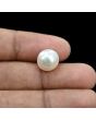 South Sea Pearl (Moti) 9.29 Carat