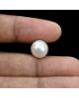 South Sea Pearl (Moti) 9.29 Carat