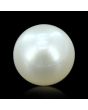 South Sea Pearl (Moti) 6.83 Carat 