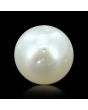 South Sea Pearl (Moti) 6.83 Carat 