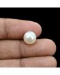 South Sea Pearl (Moti) 6.83 Carat 