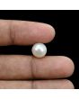 South Sea Pearl (Moti) 6.83 Carat 
