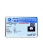 South Sea Pearl (Moti) 6.83 Carat 