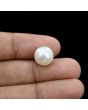 South Sea Pearl (Moti) 10.16 Carat 