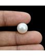 South Sea Pearl (Moti) 10.16 Carat 