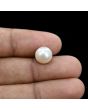 South Sea Pearl (Moti) 6.27 Carat 