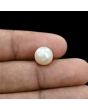 South Sea Pearl (Moti) 6.27 Carat 