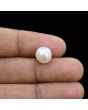 South Sea Pearl (Moti) 5.8 Carat 