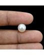 South Sea Pearl (Moti) 5.8 Carat 