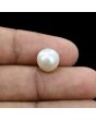 South Sea Pearl (Moti) 6.46 Carat 