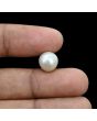 South Sea Pearl (Moti) 6.46 Carat 