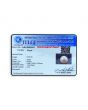 South Sea Pearl (Moti) 6.46 Carat 
