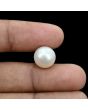 South Sea Pearl (Moti) 10.41 Carat 