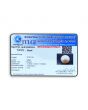 South Sea Pearl (Moti) 10.41 Carat 