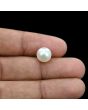 South Sea Pearl (Moti) 5.75 Carat 