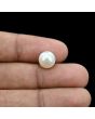 South Sea Pearl (Moti) 5.75 Carat 