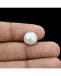 South Sea Pearl (Moti) 9.63 Carat 