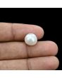 South Sea Pearl (Moti) 9.63 Carat 