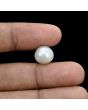 South Sea Pearl (Moti) 9.63 Carat 