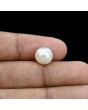 South Sea Pearl (Moti) 6.53 Carat 